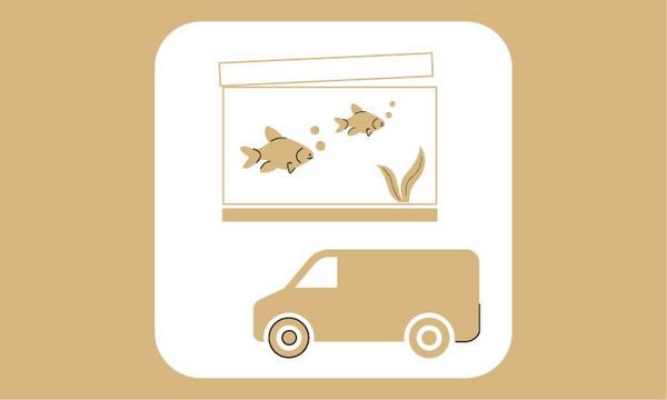 Planung und Aufbau von Aquarium-Kombinationen